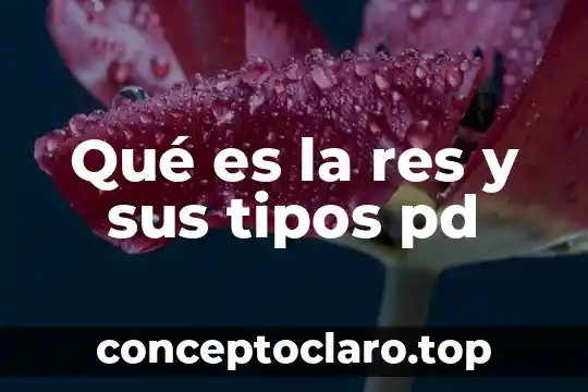 Qué es la res y sus tipos pd