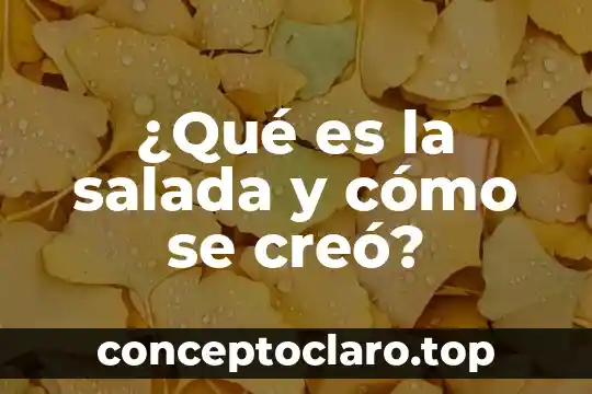 Yo creo que es tiempo Aida Cuevas 8 ¿Qué es la salada y cómo se creó?