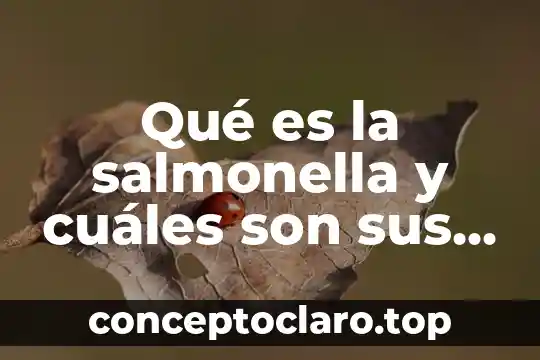 Qué es la salmonella y cuáles son sus síntomas