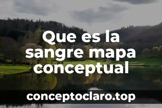 Que es la sangre mapa conceptual