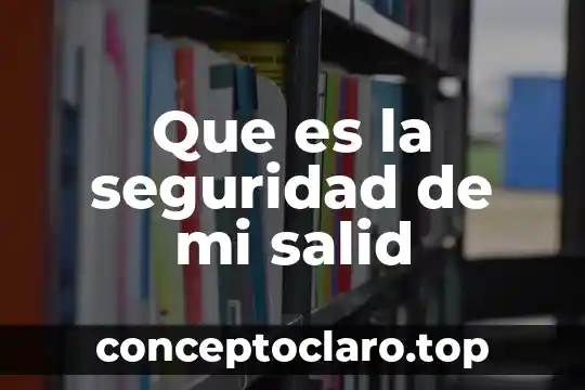 Que es la seguridad de mi salid