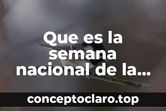 Que es la filosofia ciencia o 6 Que es la semana nacional de la ciencia y tecnologia