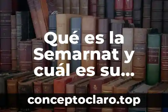 Que es filosofia y cual es su utilidad 7 Qué es la Semarnat y cuál es su propósito
