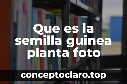 Que es el tejido dermico de una planta 7 Que es la semilla guinea planta foto