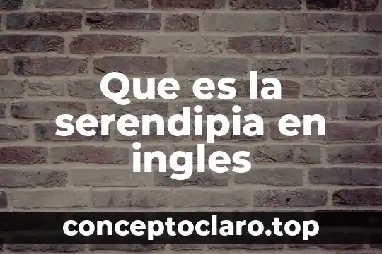 Qué es su significado quantifiers en inglés 6 Que es la serendipia en ingles