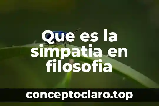 Que es la simpatia en filosofia