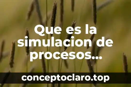 Que es la simulacion de procesos scribd