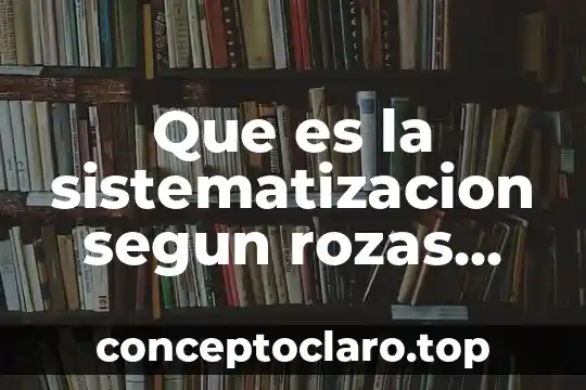 Que es la sistematizacion segun rozas pagaza