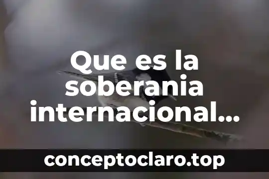 Que es la soberanía en méxico 6 Que es la soberania internacional sus caracteristicas y sus limites