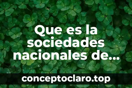 Que es la sociedades nacionales de crédito