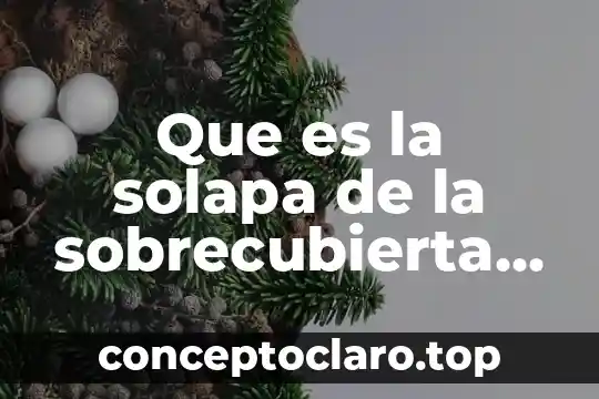 Que es la solapa de la sobrecubierta de un libro