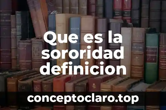 Que es un bosque definicion 6 Que es la sororidad definicion