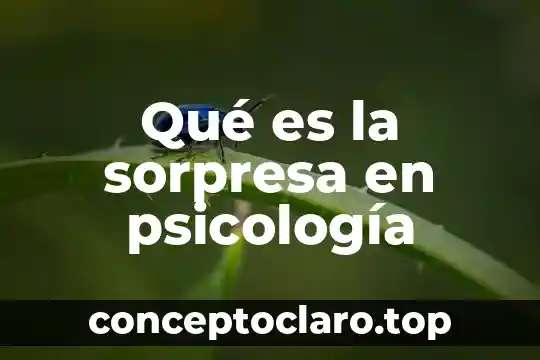 Qué es la sorpresa en psicología