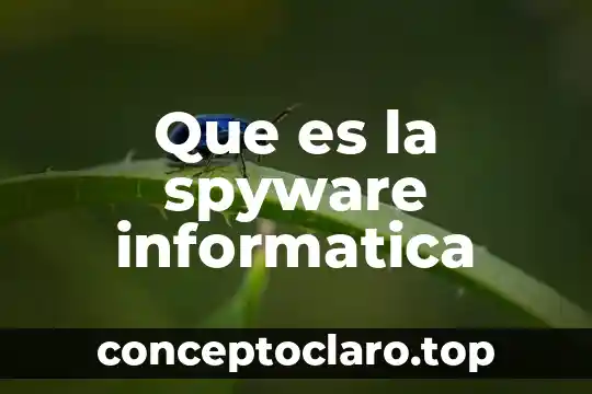 Que es la spyware informatica
