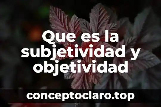 Que es ser preo 5 Que es la subjetividad y objetividad