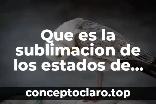 Que es la sublimacion de los estados de la materia