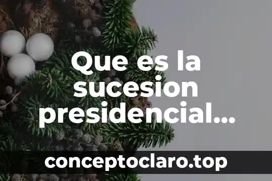 Que es la sucesion presidencial definicion