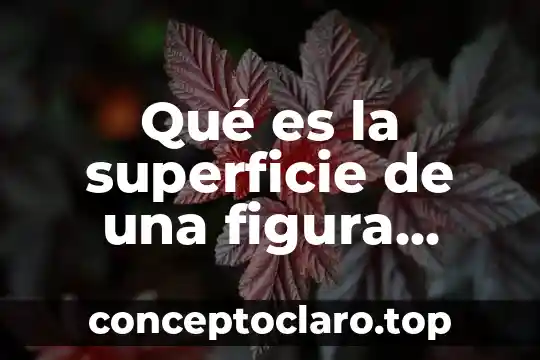 Qué es el área de una figura regular 5 Qué es la superficie de una figura plana