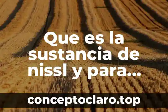 Que es la sustancia de nissl y para que sirve