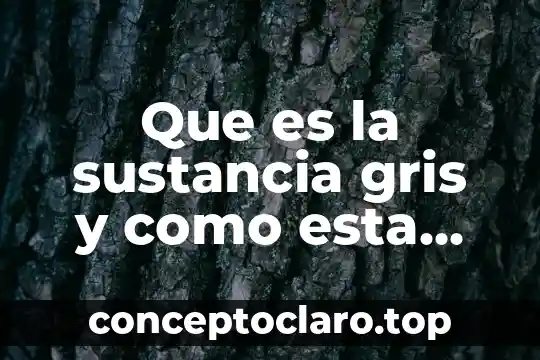 Robótica que es y como esta con la sociedad 4 Que es la sustancia gris y como esta formada
