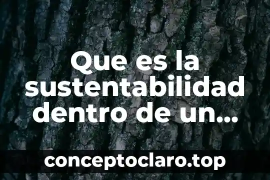Que es la sustentabilidad dentro de un proyecto tecnologico