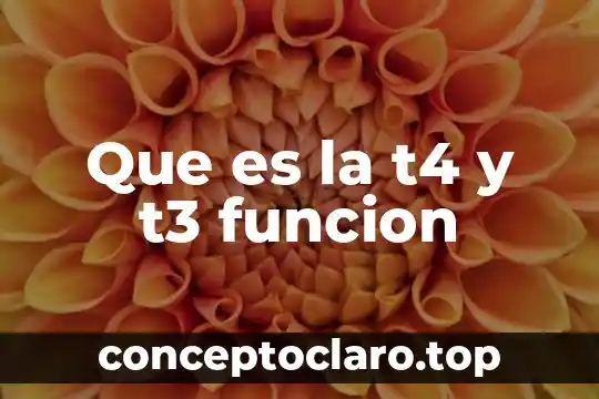 Que es la t4 y t3 funcion