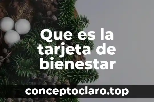 Que es la tarjeta de bienestar