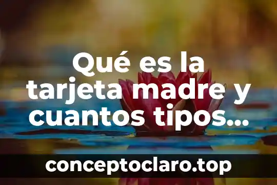 Qué es la tarjeta madre y cuantos tipos existen