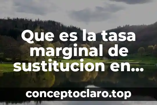 Que es la tasa marginal de sustitucion en economia