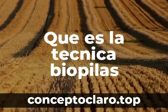 Que es la tecnica biopilas