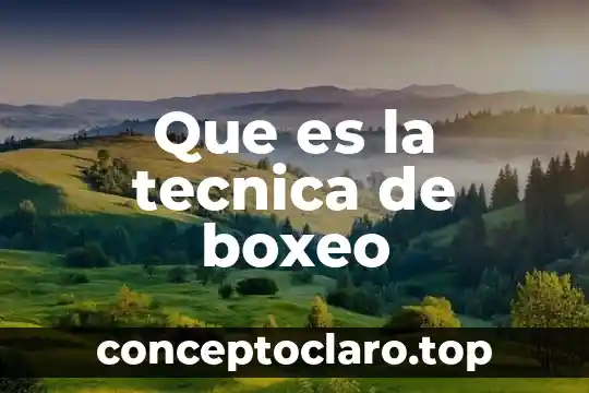 Que es la tecnica de boxeo