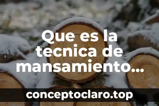 Que es la tecnica de mansamiento de fisicos
