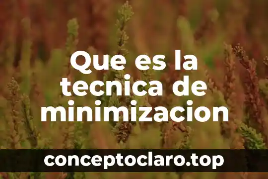 Que es la tecnica de minimizacion
