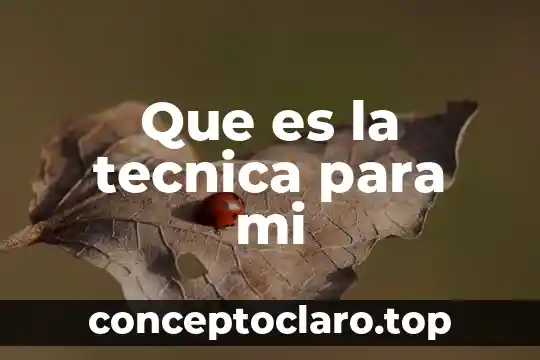 Que es la tecnica para mi