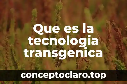 Que es la tecnologia maderera 4 Que es la tecnologia transgenica