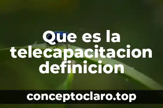 Que es la telecapacitacion definicion