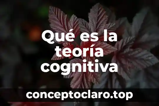 Que es teoría segun clara romero 6 Qué es la teoría cognitiva