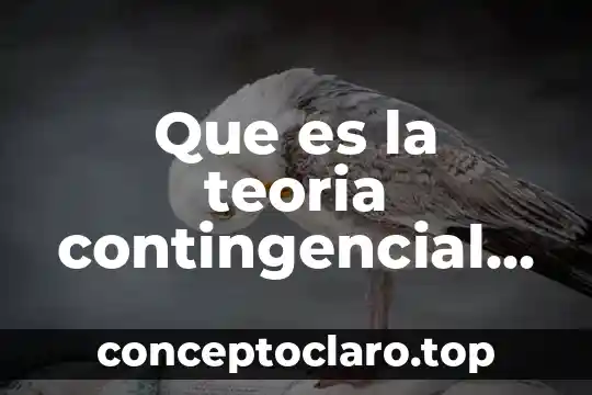 Que es teoría segun clara romero 3 Que es la teoria contingencial del liderazgo