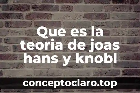Que es la teoria de joas hans y knobl