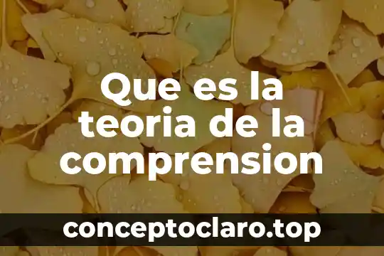 Que es comprension lectora segun ausel 4 Que es la teoria de la comprension