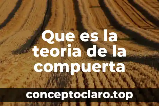 Que es la teoria de la compuerta