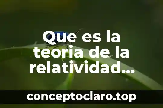 Que es la teoria de la relatividad landau