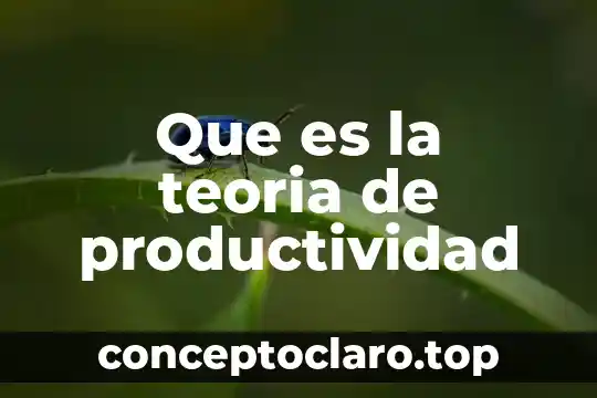 Que es la teoria de productividad