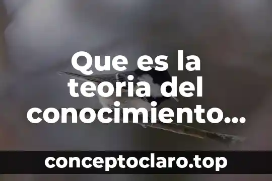 Que es la teoria del conocimiento en el campo juridico