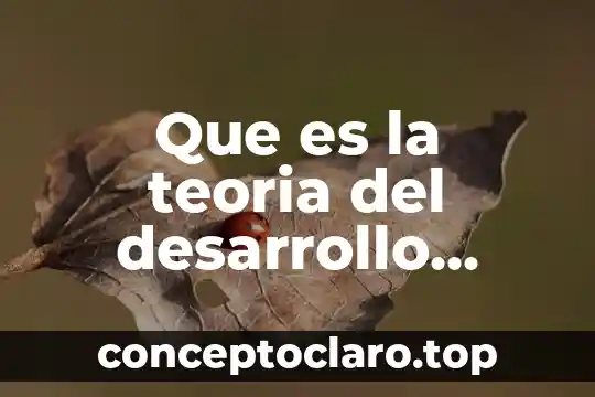 Que es la teoria del desarrollo cognitivo