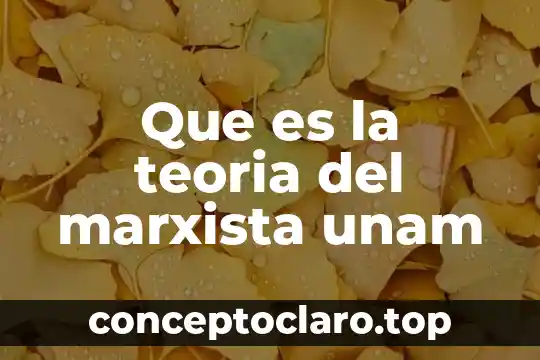 Que es la teoria del marxista unam