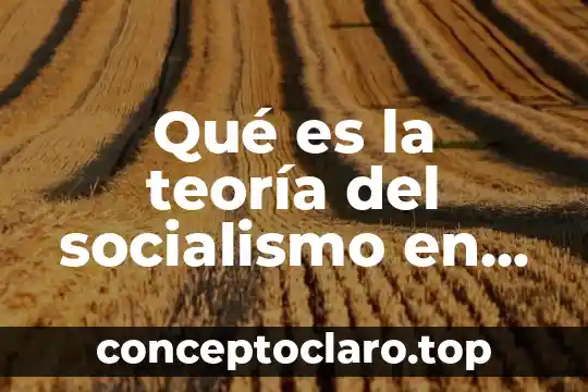 Qué es la teoría del socialismo en historia universal