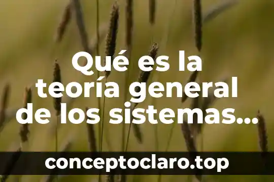 Qué es la teoría general de los sistemas administrativos
