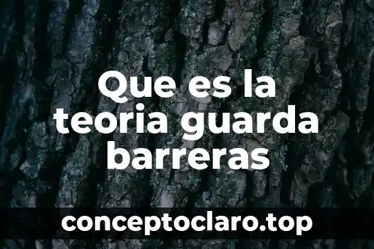 Que es la teoria guarda barreras
