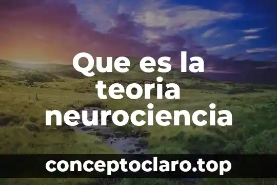 Que es la teoria neurociencia